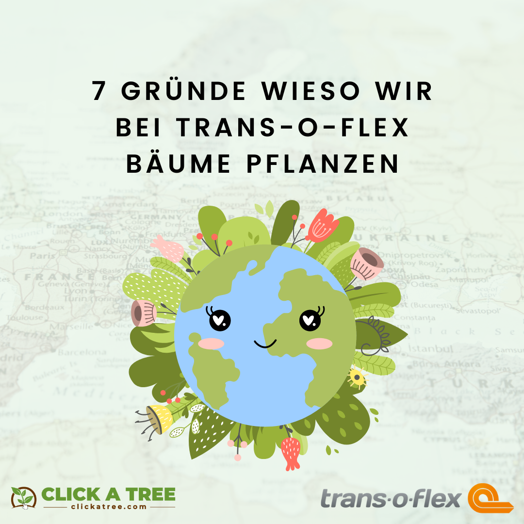 7 Gründe wieso wir bei trans-o-flex Bäume pflanzen