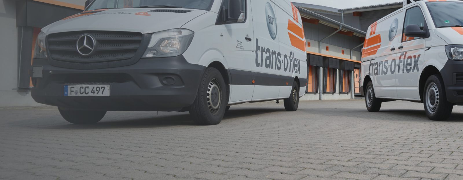 trans-o-flex Sprinter